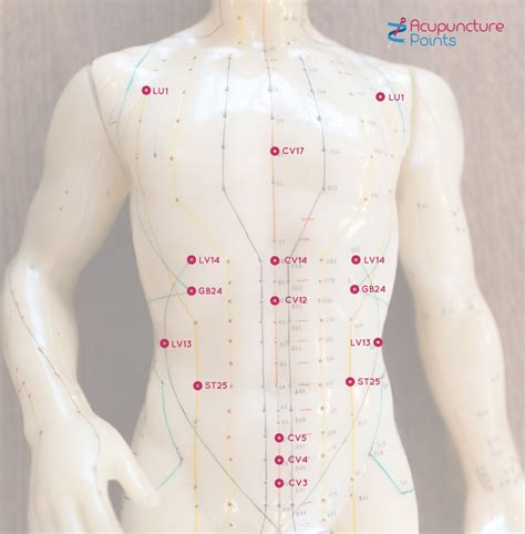 Acupuncture alarm points or Front MU Points - Acupuncture Points