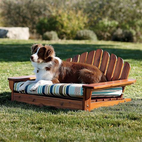 Outdoor Dog Furniture - Ideas on Foter