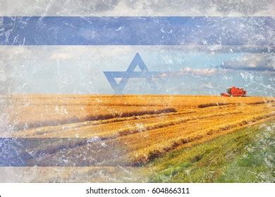 Israel Agriculture Harvesting Crops Stock Illustration 604866311 ...