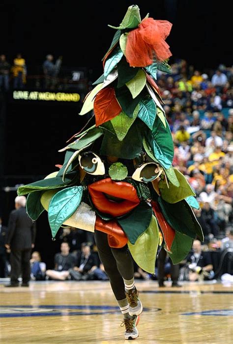 Stanford Cardinal Mascot