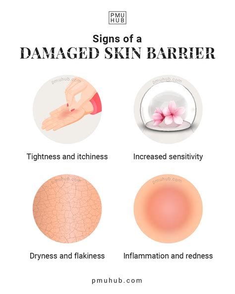 What Leads to a Damaged Skin Barrier + Ways to Fix It