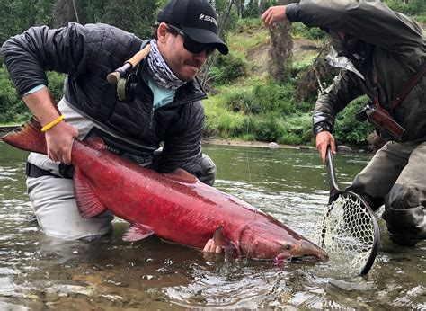 Alaska Salmon Species and When to Fish for Them - Talaheim Lodge