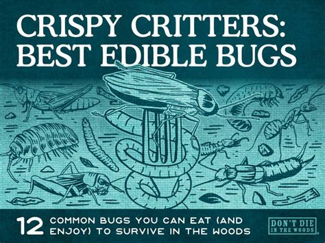 Crispy Critters: Best Edible Bugs – Don't Die In The Woods