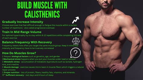 How To Build Muscle With Calisthenics | CALISTHENICS Workouts & Equipment