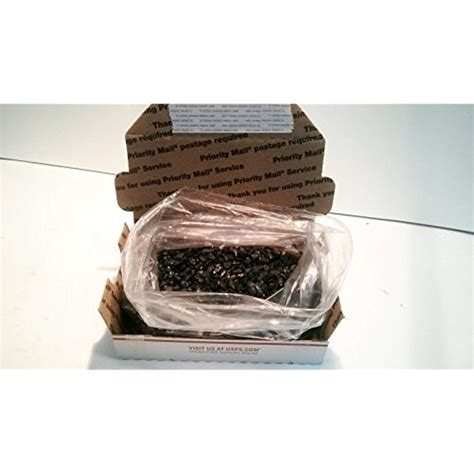 Anthracite "Rice Coal (2 lb Sample) | Rice, Food, Air quality