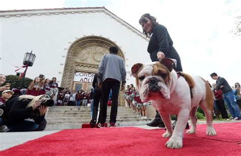 It’s official: Adelaide becomes University of Redlands’ first female ...