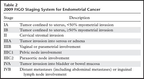 Surviving Endometrial Cancer - HubPages