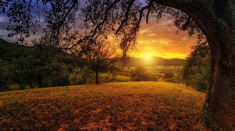 HD wallpaper: panorama, nature, sun, tree, dawn, aesthetic, landscape ...