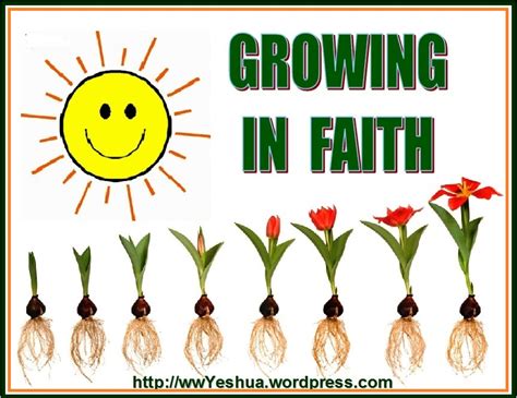 GROWING IN FAITH – Hebrews 11:1 | Walking with Yeshua ( Jesus ) - Bible ...