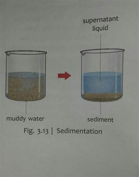 draw a well labelled diagram process of sedimentation and decantation ...