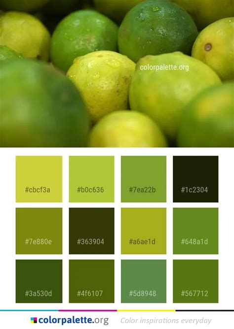 Natural Foods Fruit Lime Color Palette | colorpalette.org