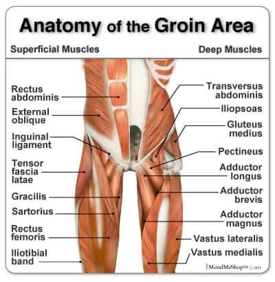 Prehab Your Groin: How To Manage An Adductor Injury - [P]rehab