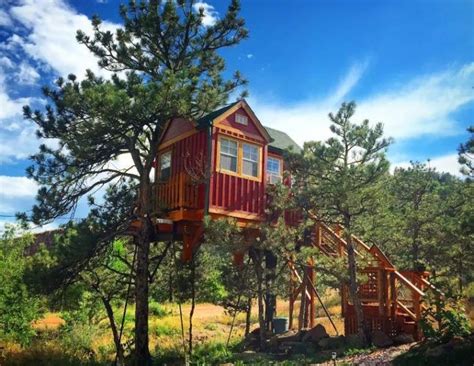 15 EPIC Cabins and Tree Houses in Colorado [2024]