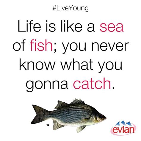 "Life is like a sea of fish; you never know what you gonna catch." | # ...