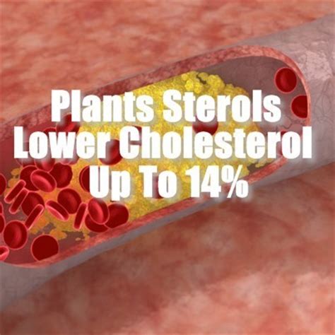 Dr Oz: Plant Sterols Vs Statins for Cholesterol & Plant Sterol Recipes