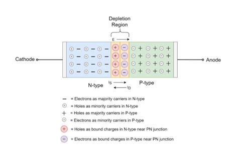 pn junction anatomy - Electronics-Lab.com