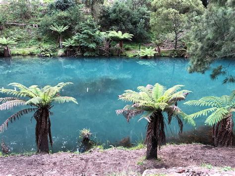 Blue Lake (Jenolan Caves): All You Need to Know BEFORE You Go