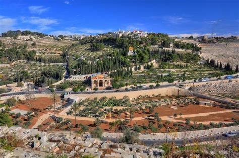 Mount of Olives │Israel │Holy Land Tour │Holy Land Tourism│ Holy Land.