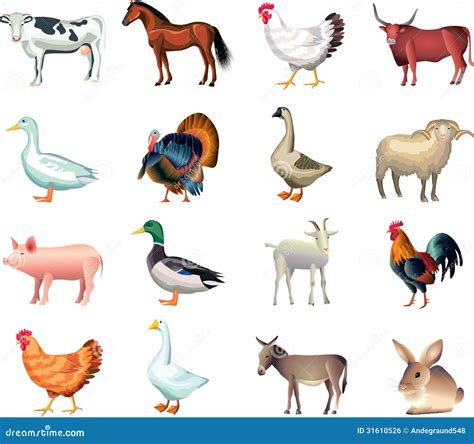 Farm Animals Photo Realistic Set Stock Vector - Illustration: 31610526