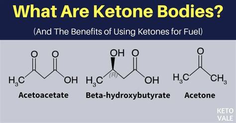 What Are Ketones and Why You Should Use It for Fuel?