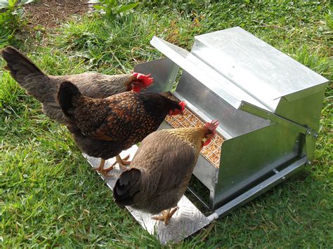 Grandpa's Feeders Automatic Chicken Feeder - Long Lasting Galvanized ...