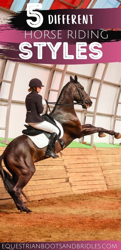 Horse Riding Styles: 5 Different Types in 2021 | Horses, Horse careers ...