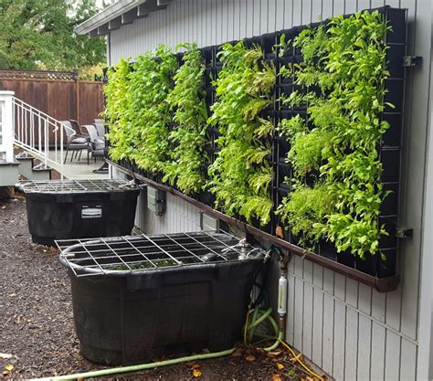 Vertical Vegetable Aquaponics – Plants On Walls