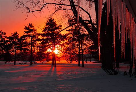 Winter Snow Sunset Wallpaper