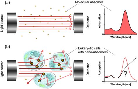 Principle of UV-VIS spectrophotometry. (a) Detected UV-VIS spectrum for ...