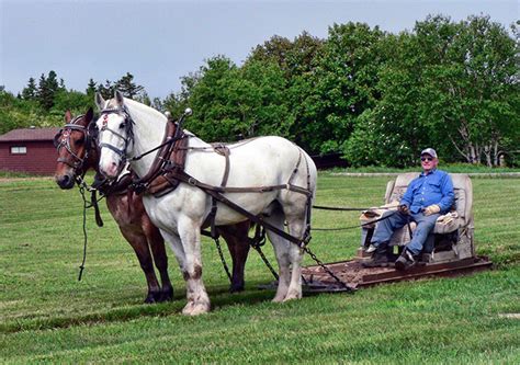 About Horse Pulling