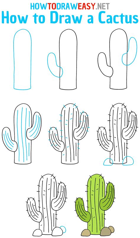 How to Draw a Cactus Step-by-Step - Draw for Kids