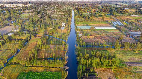 Poca y de mala calidad el agua en Xochimilco - Aunam Noticias