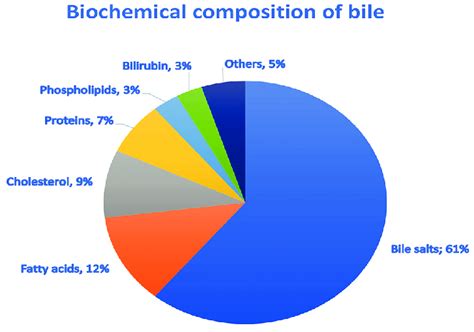 Biochemical composition of bile. The chart shows a percentage ...