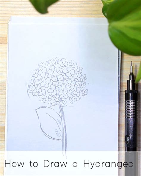 How To Draw A Simple Flower Step By Step