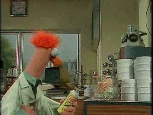 Beaker GIFs - Find & Share on GIPHY