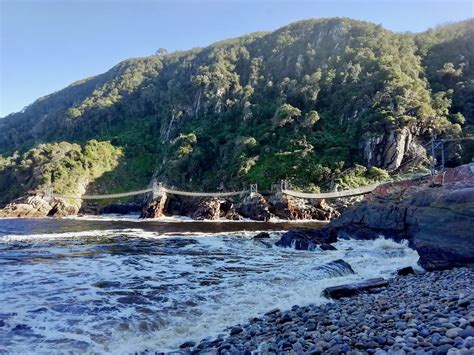 Suspension Bridge at Garden Route National Park, South Africa - Our Big ...