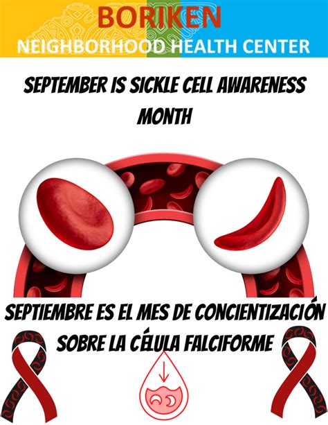 September is Sickle Cell Awareness Month! - Boriken Neighborhood Health ...