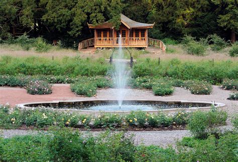 Dan Pearson’s Rose Garden at Lowther Castle has formally opened ...