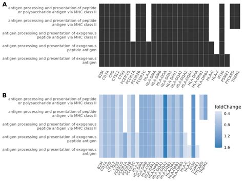 An End-to-End Gene-Level RNA-Seq Differential Expression Analysis ...