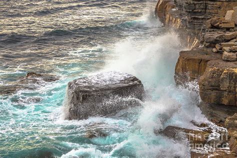 Tasman National Park Photograph by Benny Marty - Fine Art America