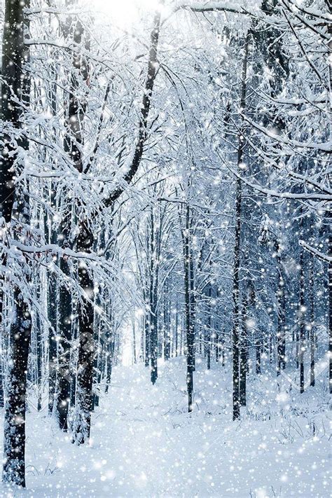 Winter Forest Wallpaper. #winter #forest #snow #iphone #wallpaper ...