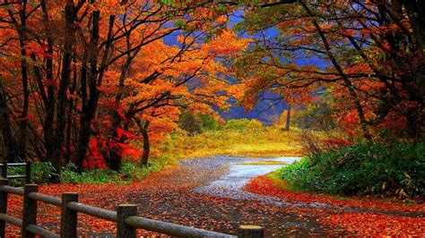 Fall Scenes Wallpapers - Top Free Fall Scenes Backgrounds - WallpaperAccess