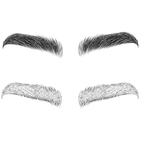 Premium Vector | Vector eyebrows realistic and sketch style