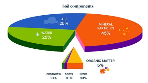 Composition Of Air Pie Chart For Kids