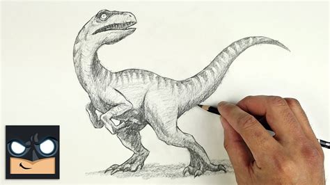 How To Draw Velociraptor - Sketch Saturday