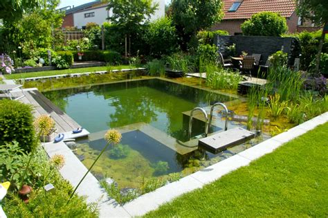 Natural Swimming Pools 101: All About Natural Pools | HGTV