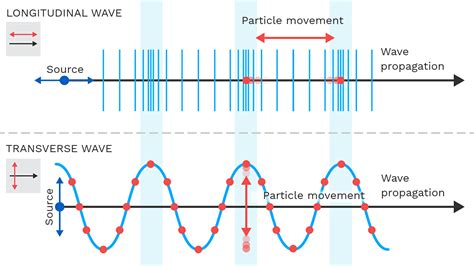 Longitudinal Wave And Transverse Wave Difference