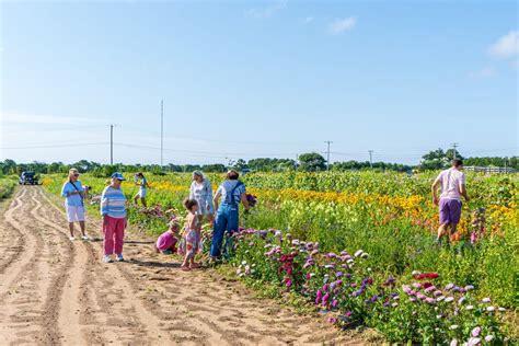 Flower Tour - Bartlett's Farm