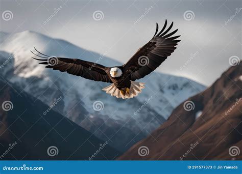 Bald Eagle Flying in the Mountains. 3D Rendering Stock Illustration ...