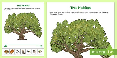 Tree Habitat Cut and Paste Activity | Twinkl USA - Twinkl